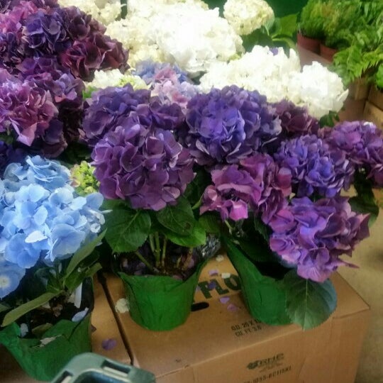 Photos at Produce Junction Wynnefield 9 tips