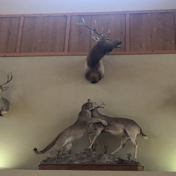 John Megel Chevrolet Car Dealership in Dawsonville