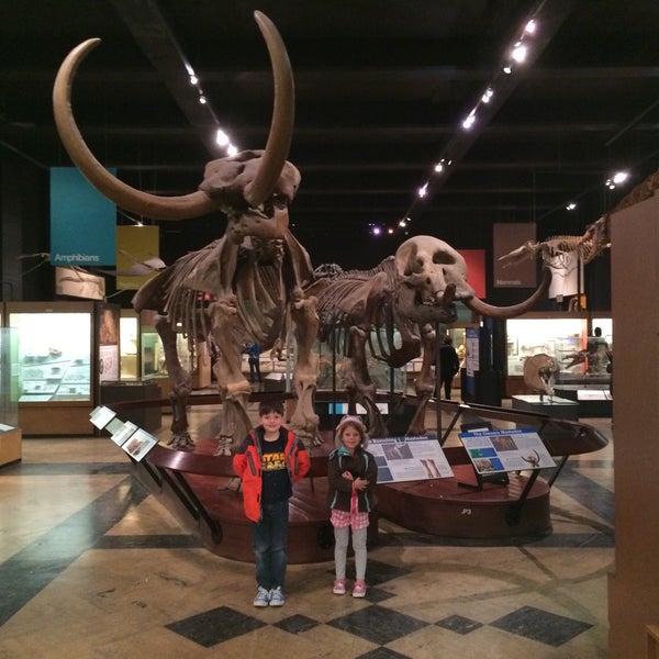 Photo taken at University of Michigan Museum of Natural History by Scott S. on 3/7/2015