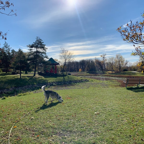 Are Dogs Allowed In Kings Park