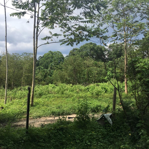 Q Thai Foot Massage Kajang, Selangor