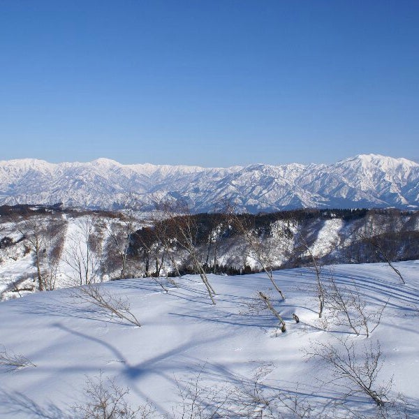 Photos At 上越国際当間スキー場 Joetsu Kokusai Atema Ski Resort 十日町市 新潟県