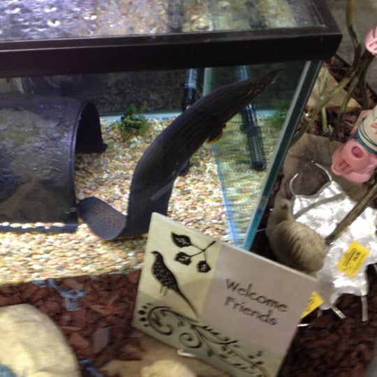 Agri Feed Pet Supply 7 tips from 170 visitors