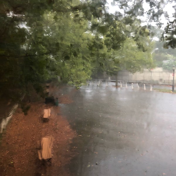 Sherry Dog Run Woodside Queens, NY