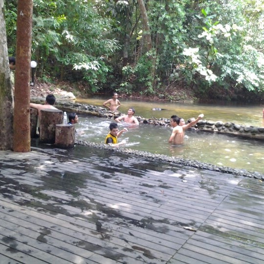 Jungle Pool Camp Permai 76 Visitors
