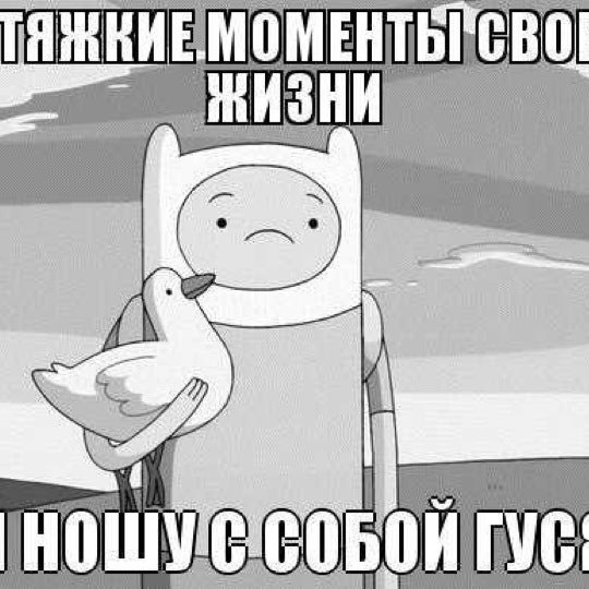 Круглый из брата. Бери ношу по себе. Любишь медок люби и холодок смысл брат. Круглый из брата мемы. Бери ношу по себе поговорка.