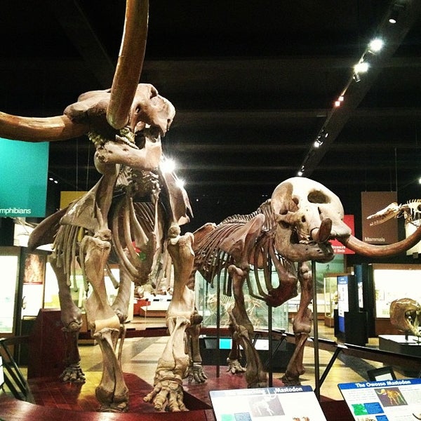Photo taken at University of Michigan Museum of Natural History by Brett S. on 12/12/2012