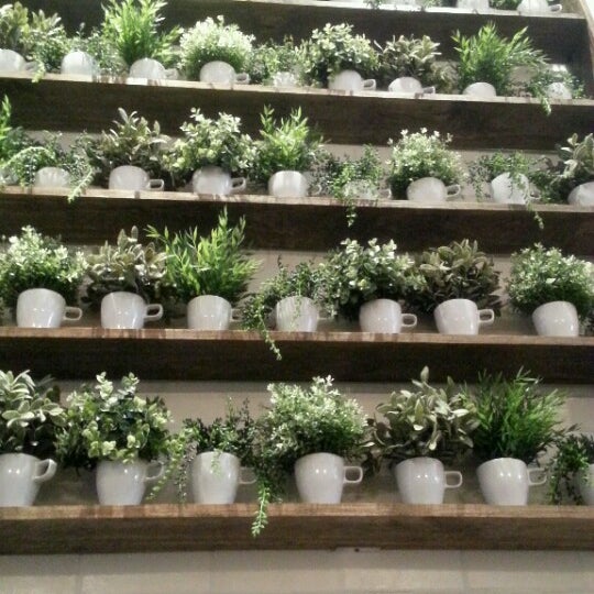 prince tea house flushing