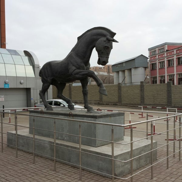прогулка на лошадях в самаре. самара коне. самара коне. лошади в самаре. волгоградский конный завод.