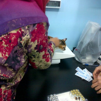 Kitty S Cottage 3 Tips From 46 Visitors