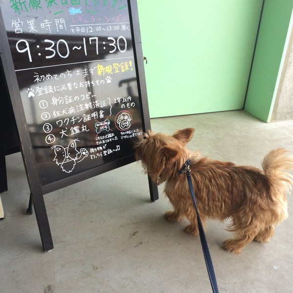 Fotos Em 新横浜公園ドッグラン 港北区 0 Dicas
