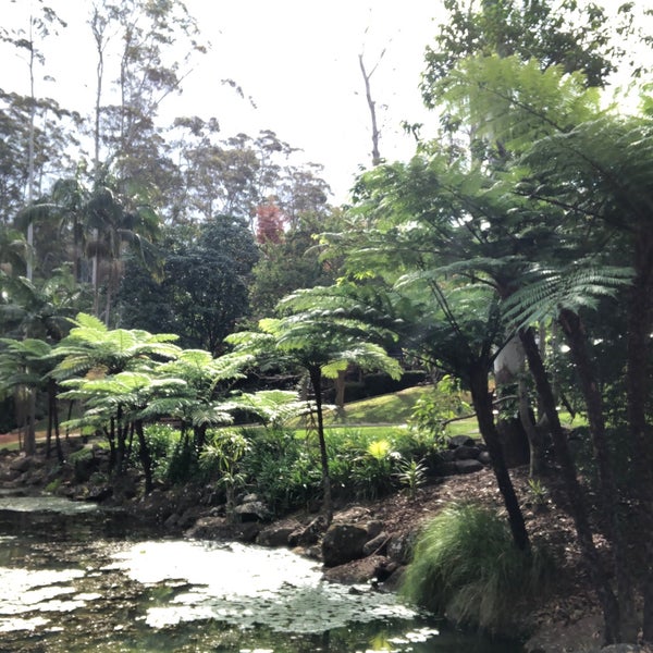 Mount Tamborine Botanic Gardens 5 tips