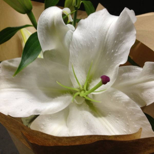 青山フラワーマーケット Floricultura
