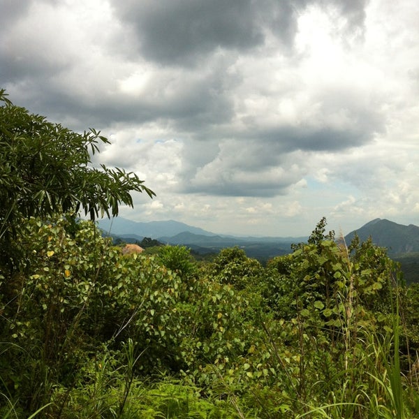 The Gunung Inas Forest Reserve.