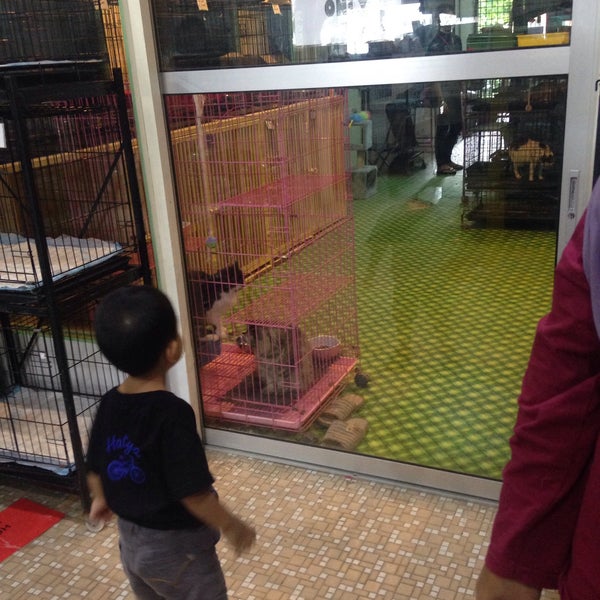 Klinik Haiwan Kemaman Pet Service