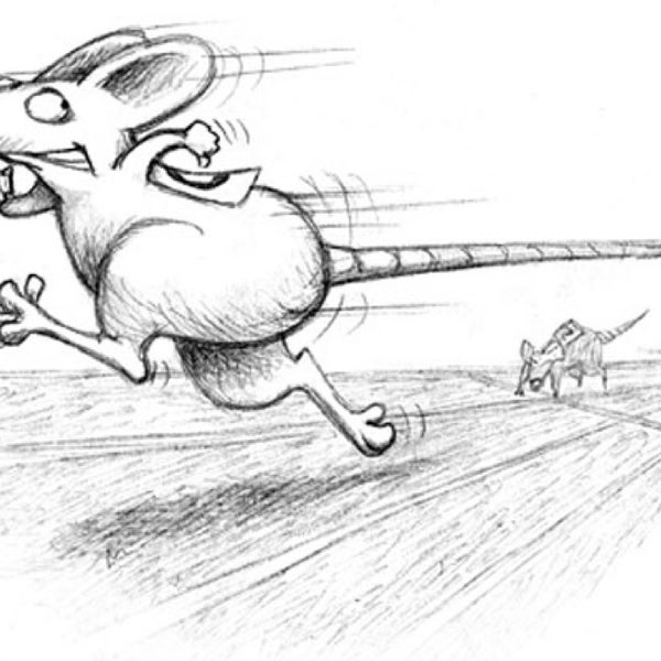 Мышь убегает. Крыса убегает. Мышонок бежит. Мышь бежит рисунок. Крысиные бега иллюстрации