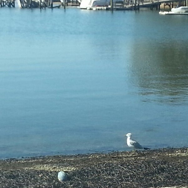 Photos at "THE" Alhambra Beach 0 Alhambra Rd, Massapequa, NY 11758