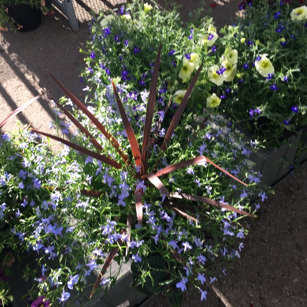Canadian Tire Hardware Store in Southeast Calgary