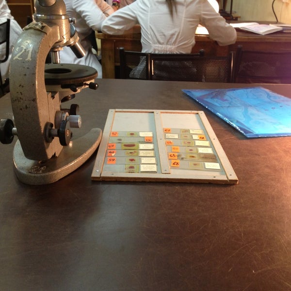 Кафедра патологической анатомии спбгпму. Кафедра патологической анатомии спбгпму. Кафедра гистологии спбгпму. Кафедра анатомии спбгпму. Кафедра гистологии спбгпму в 2001 году.