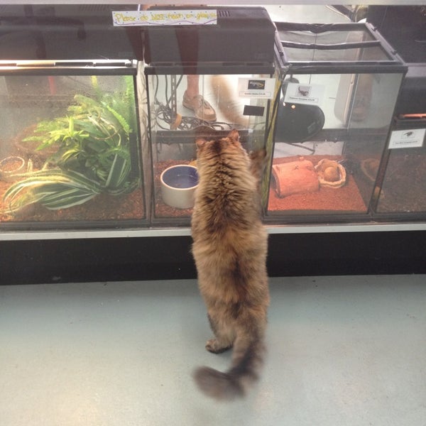 Wet Pets N Critters Pet In Longview