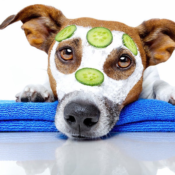 Animal Care Center of Forest Park - 11440 Winton Rd Animal Care Center of Forest Park - 11440 Winton Rd