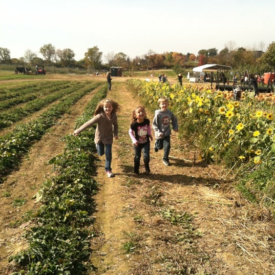 Das Foto wurde bei Soergel Orchards von Beckey 👀 am 10/13/2012 aufgenommen