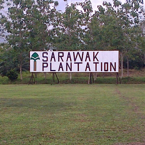 Ladang 3 Sarawak Plantation Miri Sarawak