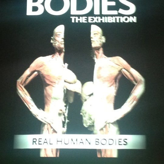 รูปภาพถ่ายที่ BODIES...The Exhibition โดย Anne O. เมื่อ 9/17/2012