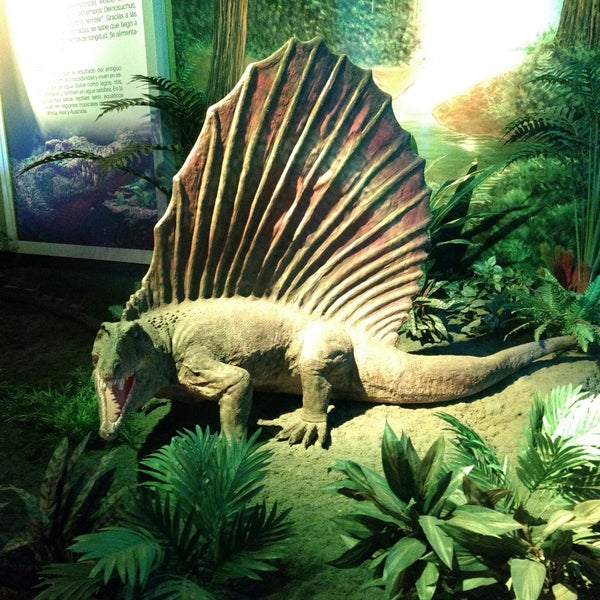 Fotos en Museo de Historia Natural José Narciso Rovirosa 11 tips