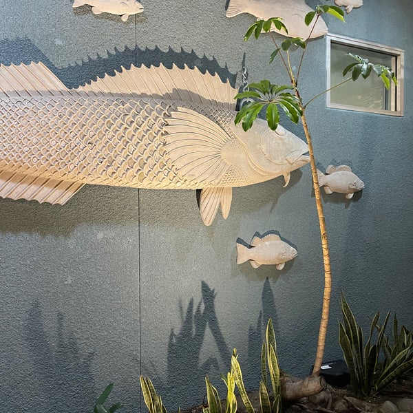 Anthony's Fish Grotto Seafood Restaurant
