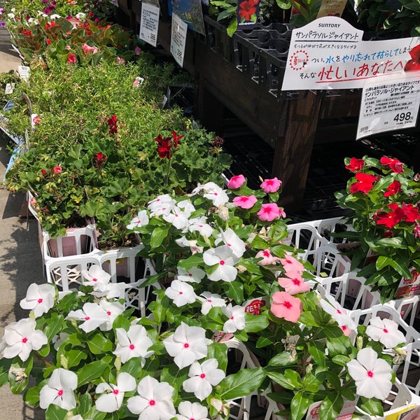 ケーヨーデイツー 南越谷店 187人の訪問者 から 2個のtips 件