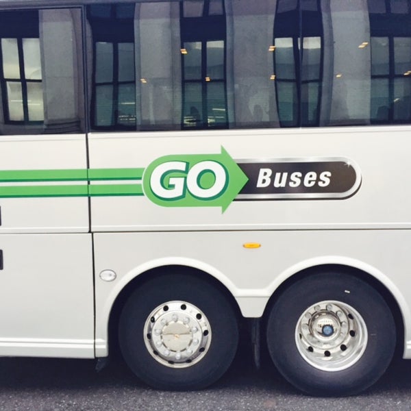 Автобусы go bus. Go bus egypt. Автобусы go bus египет. Автобусы в египте. Go bus eesti.