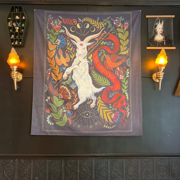 Jackalope Coffee & Tea Bridgeport Chicago, IL