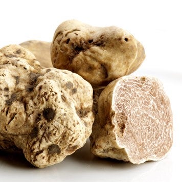 Tartufo season has started! Celebrate at Michelin star All'Oro Restaurant with the most incredible versions of white Tartufo. Another fabulous reason to stay at The First Luxury Art Hotel Roma.