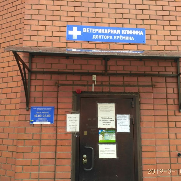 ветеринарная клиника доктора ерёмина москва. ветеринарная клиника доктора еремина в люберцах. еремин жулебино. ветеринарная клиника еремина в жулебино. доктор еремин ветеринар жулебино.