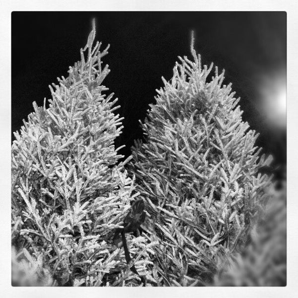 Lamberts Rainbow Fruit Farmers Market in Brockton