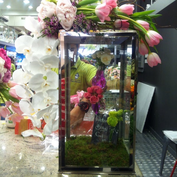 Photos At Plaza Hollandi الدوحة الدوحة