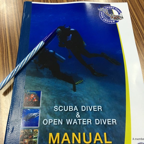 Dive in time. Dive in time