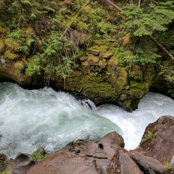Toketee Falls