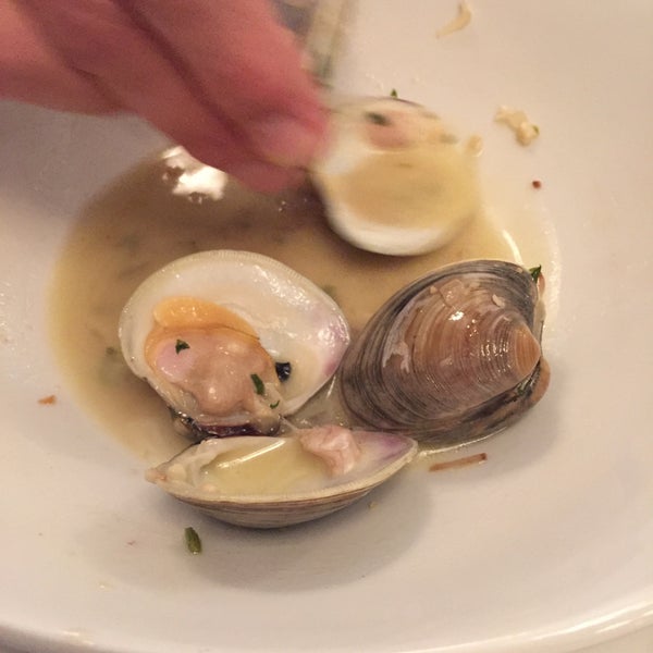 Clams with white garlic sauce are delicious. Great oysters too