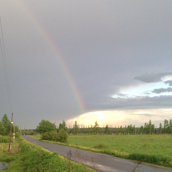 Власиха Барнаул Фото