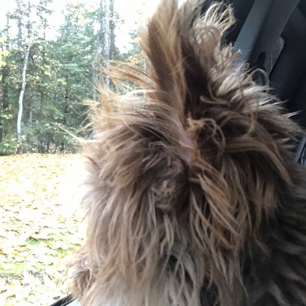 Eielson AFB Main Gate Eielson Air Force Base, AK