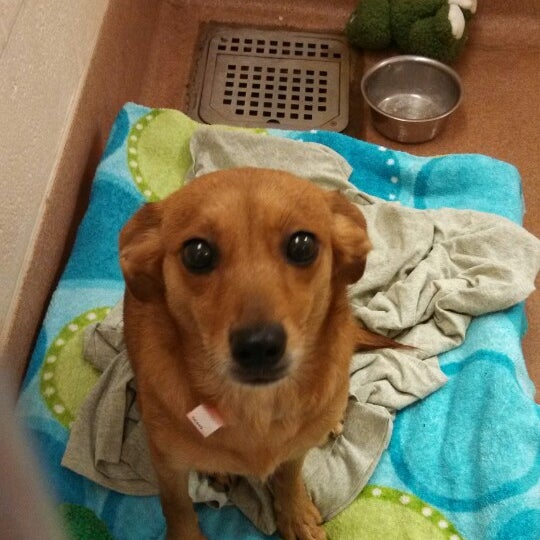 Humane Society of Northwestern Pennsylvania Animal Shelter