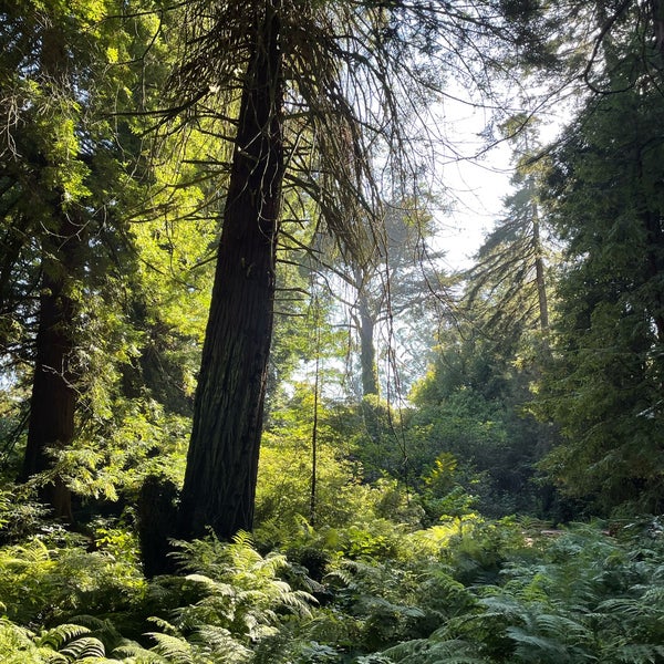 Foto diambil di San Francisco Botanical Garden oleh Alex S. pada 9/3/2022