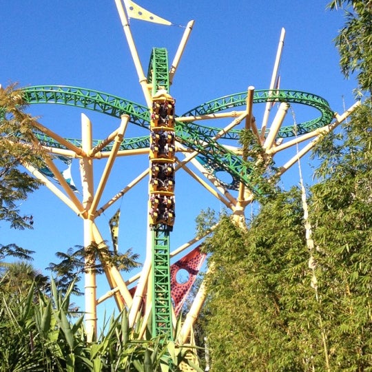 The Cheetah Ride Busch Gardens | Fasci Garden
