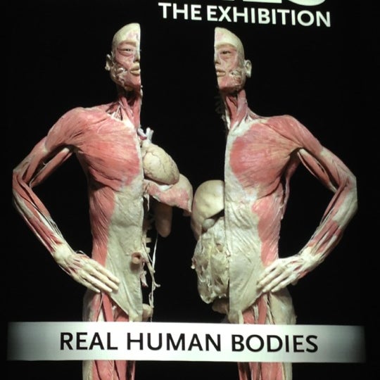 Photo taken at BODIES...The Exhibition by Chris A. on 10/12/2012