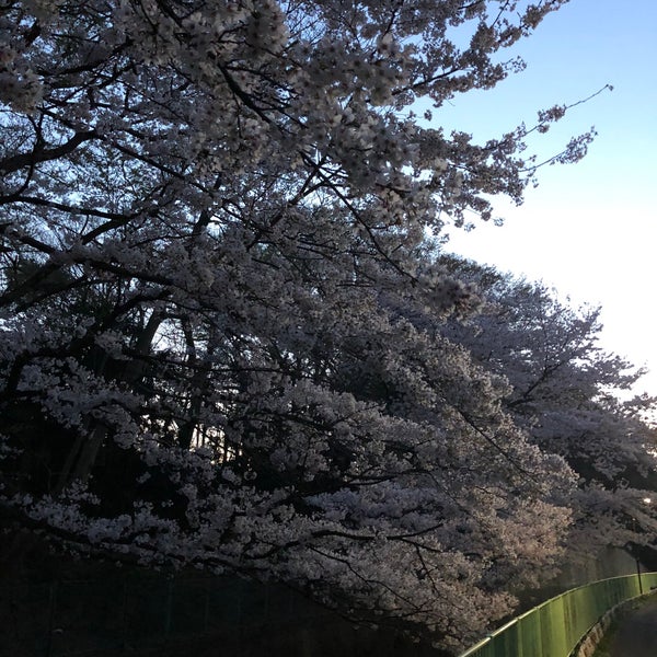 Photos At 神田川遊歩道 Photos At 神田川遊歩道