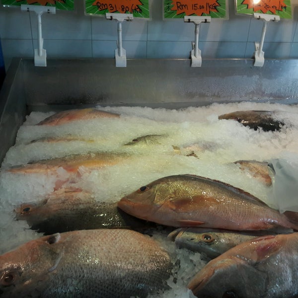 Malaysia Exporter Gst Group S Processing Plant And Finfish Hatchery Nursery Undercurrent News