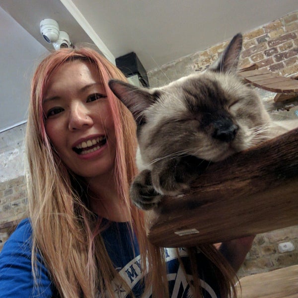 9/19/2016にTomomi I.がLondon Cat Villageで撮った写真