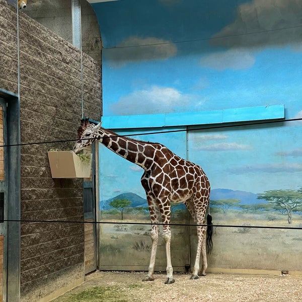 Das Foto wurde bei Bronx Zoo von طارق am 10/10/2023 aufgenommen